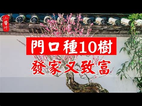 家門口種扁柏|扁柏風水6大好處! 獨家資料! (2024年更新)